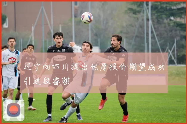 辽宁向四川提出优厚报价期望成功引进段睿骐