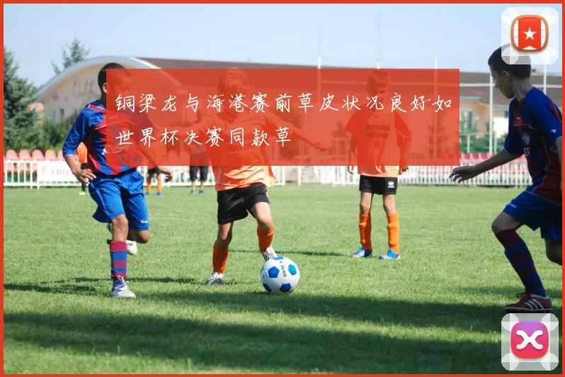 铜梁龙与海港赛前草皮状况良好如世界杯决赛同款草
