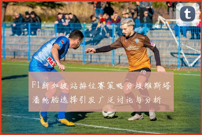 F1新加坡站排位赛策略分歧维斯塔潘轮胎选择引发广泛讨论与分析