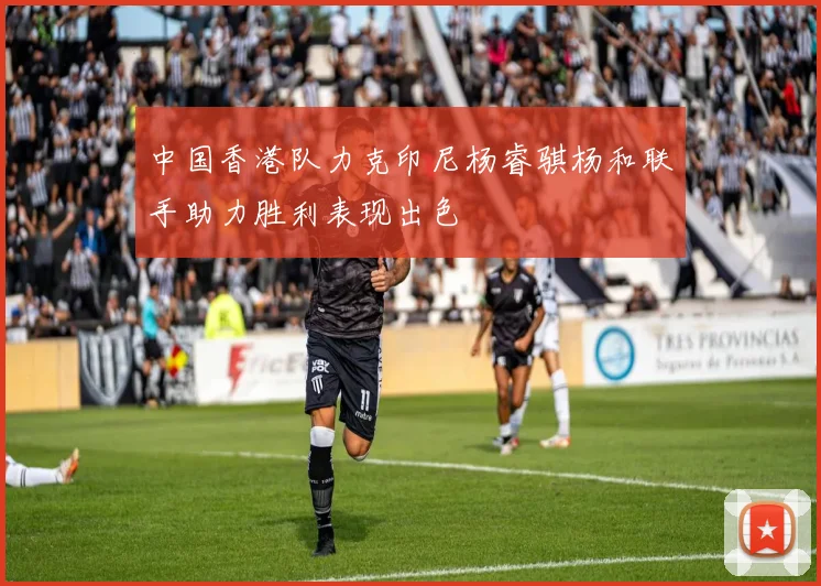 中国香港队力克印尼杨睿骐杨和联手助力胜利表现出色